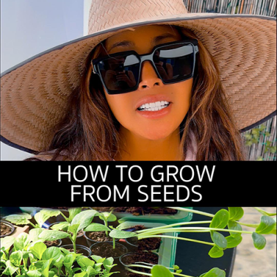 Step by step growing seedlings guide